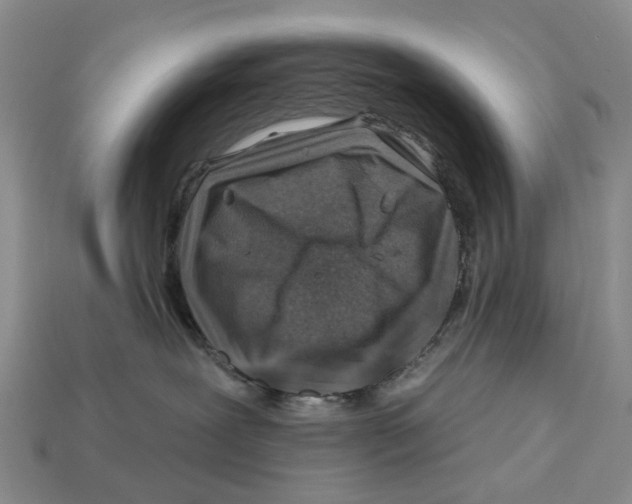 X0000113000239200909241308