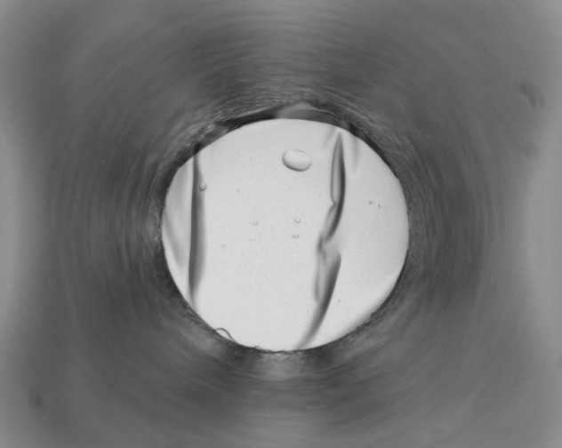 X0000113000240200909241308