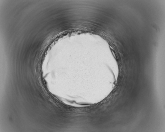 X0000113000241200909241307