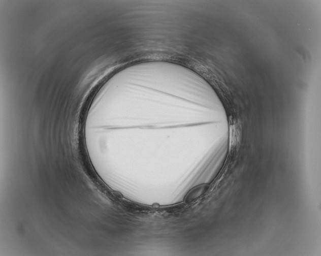 X0000113000243200909241307