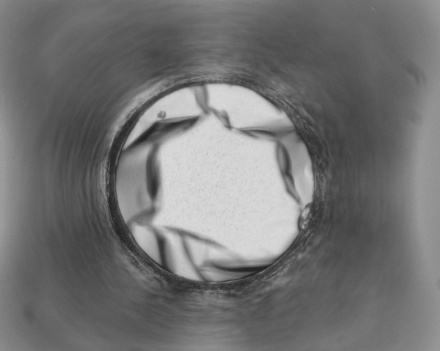 X0000113000244200909241307