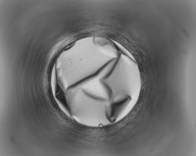 X0000113000245200909241307