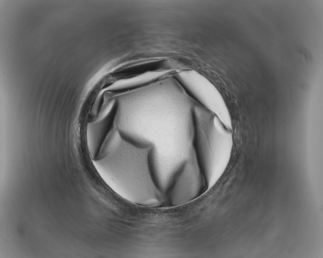 X0000113000246200909241307