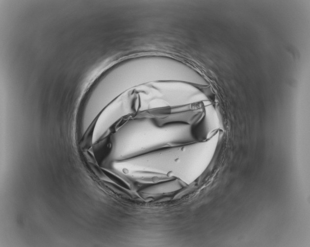 X0000113000248200909241307