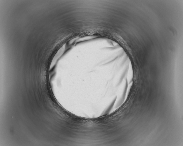 X0000113000249200909241307