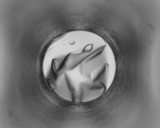 X0000113000250200909241307