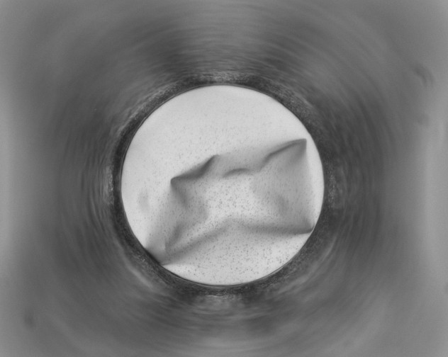 X0000113000251200909241307