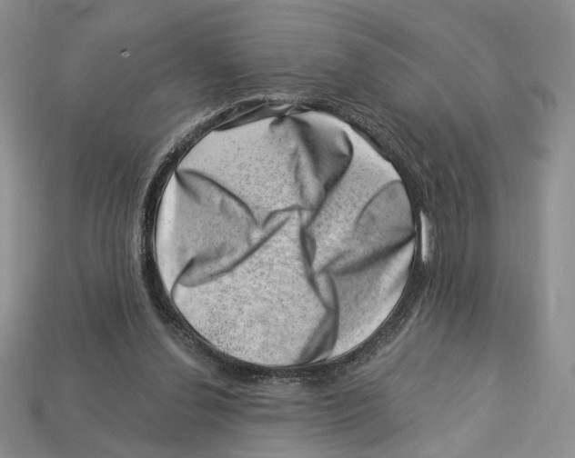 X0000113000252200909241307