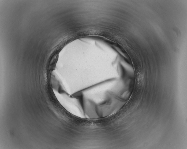 X0000113000254200909241307