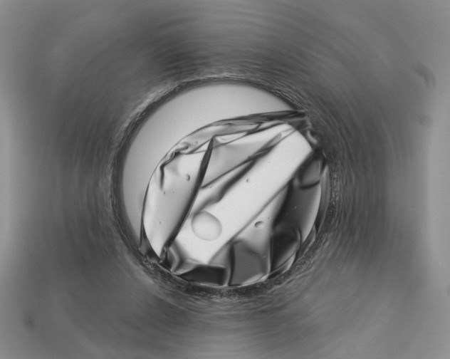 X0000113000256200909241307