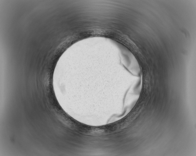 X0000113000257200909241307