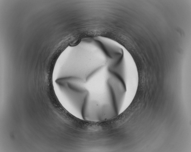 X0000113000258200909241307