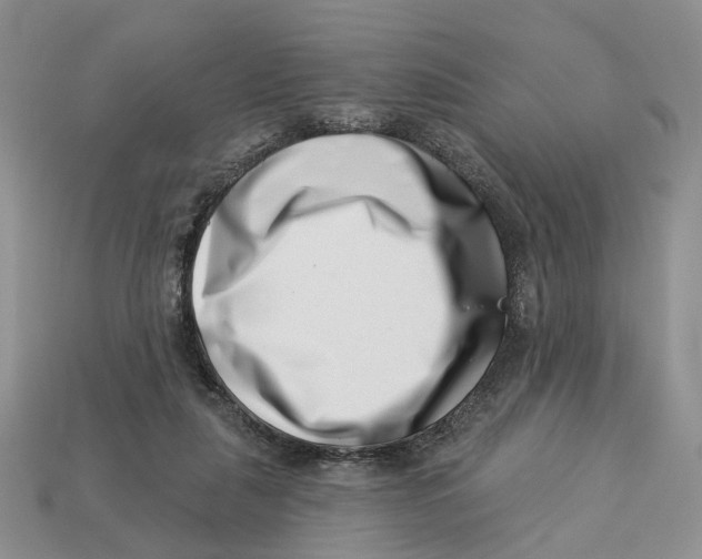 X0000113000259200909241307