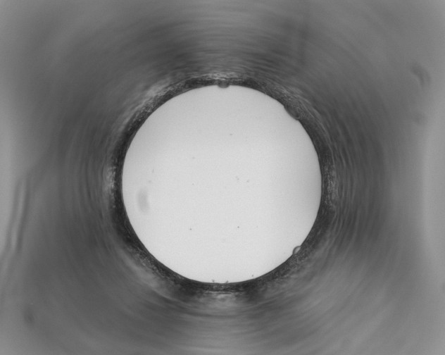 X0000113000260200909241307