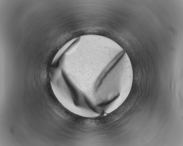 X0000113000261200909241307