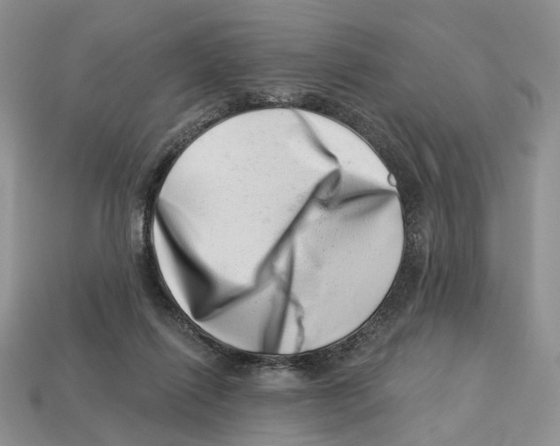 X0000113000262200909241307