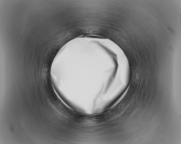 X0000113000263200909241307