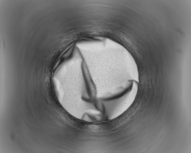 X0000113000265200909241307