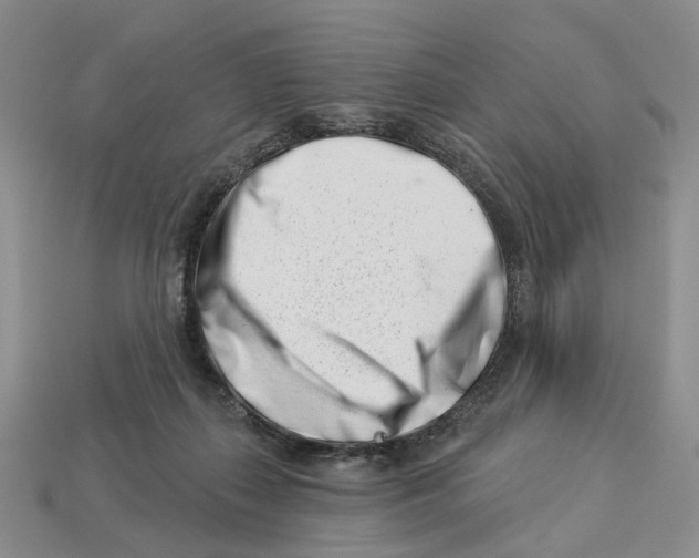 X0000113000267200909241307