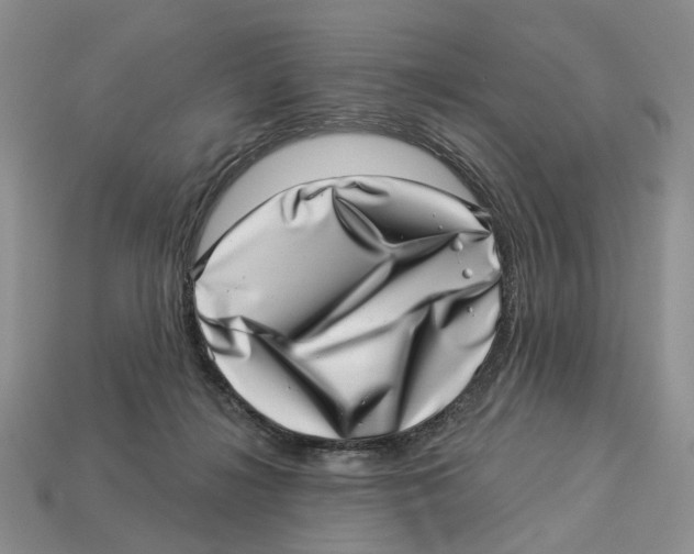 X0000113000268200909241307