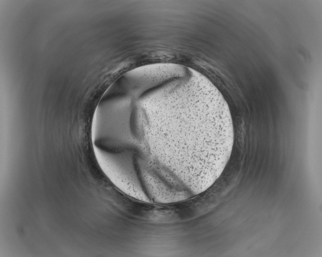 X0000113000270200909241307