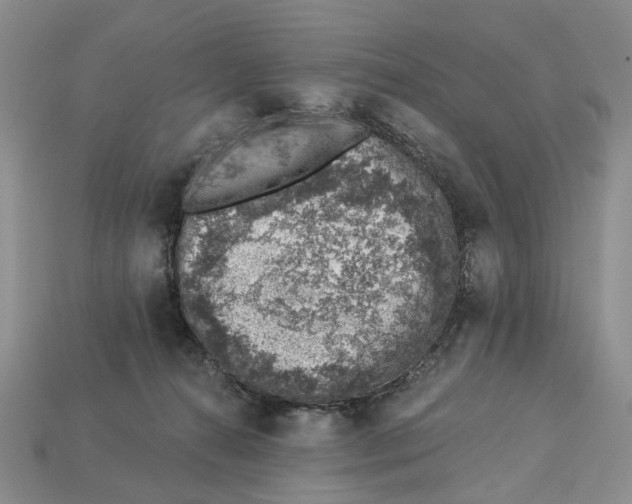 X0000113000272200909241307