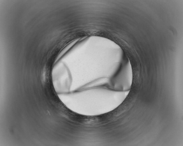 X0000113000274200909241307