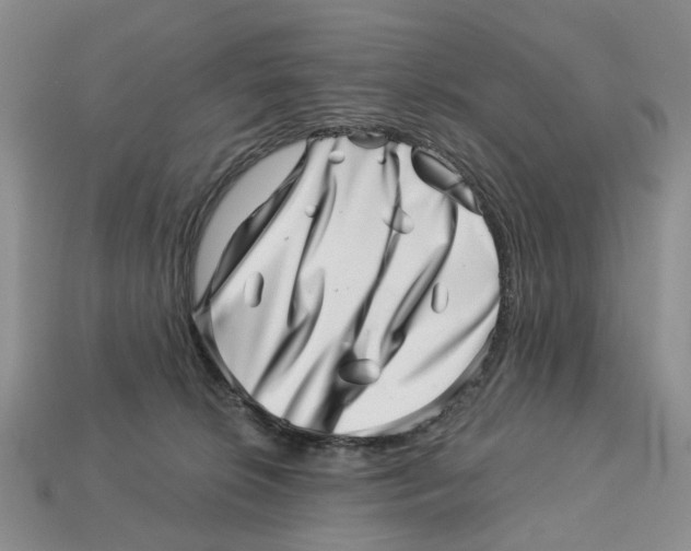 X0000113000276200909241307