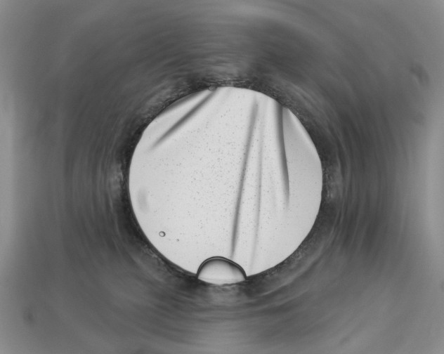 X0000113000279200909241308