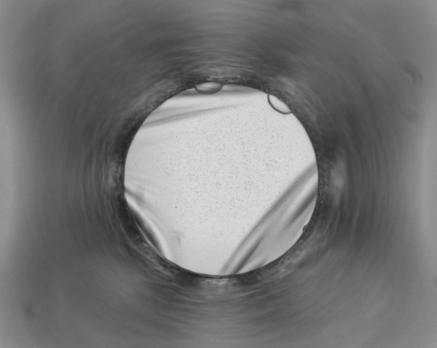 X0000113000281200909241308