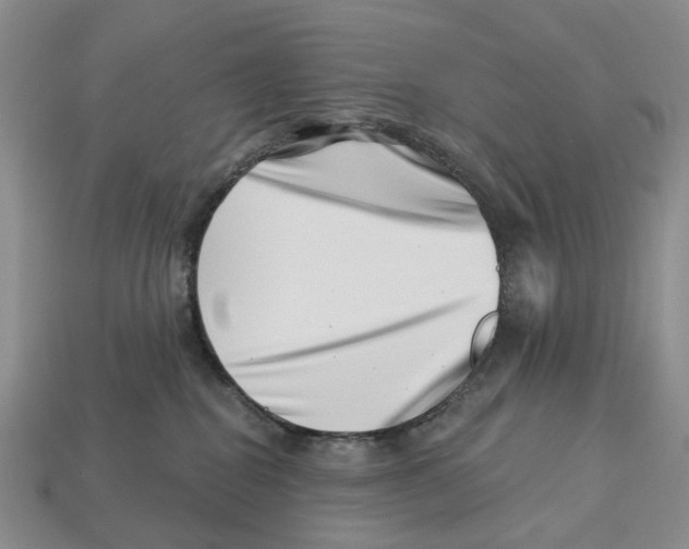 X0000113000282200909241308