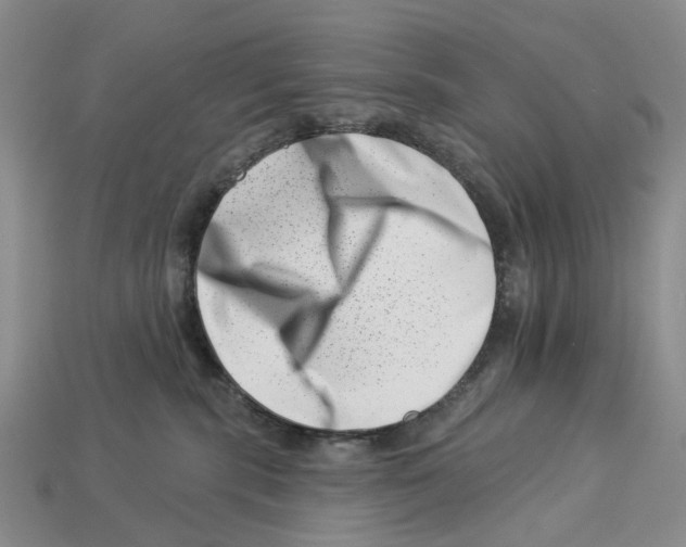 X0000113000283200909241308