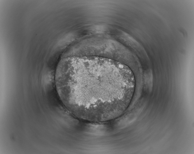 X0000113000284200909241308