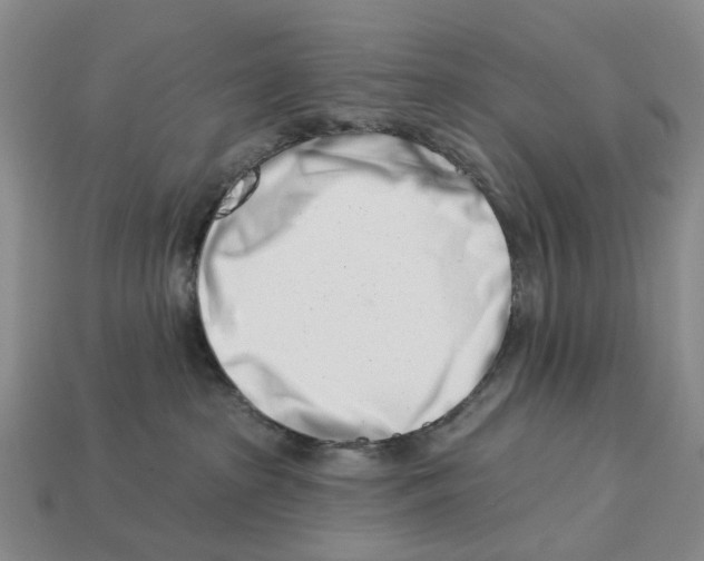 X0000113000285200909241308