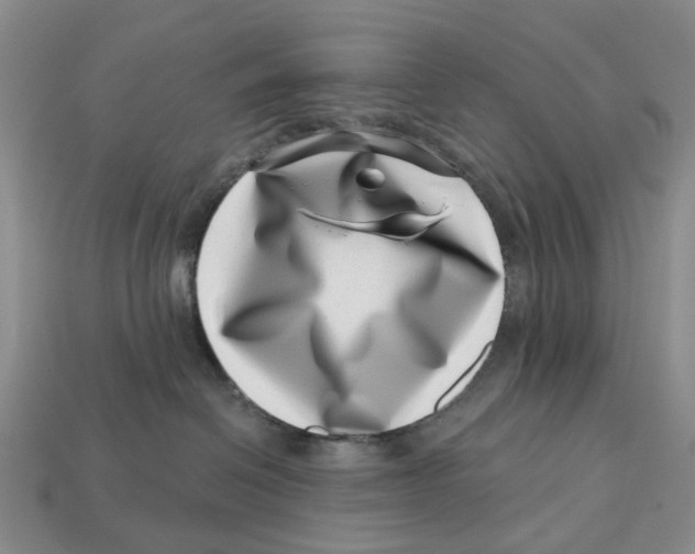 X0000113000286200909241308