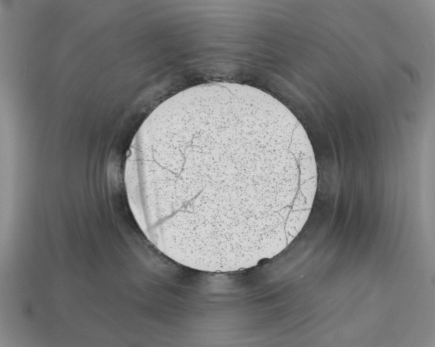 X0000113000287200909241308