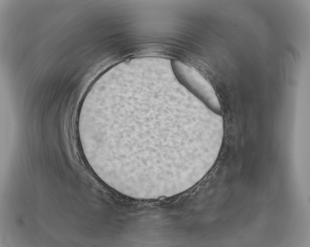 X0000113000289200909241307