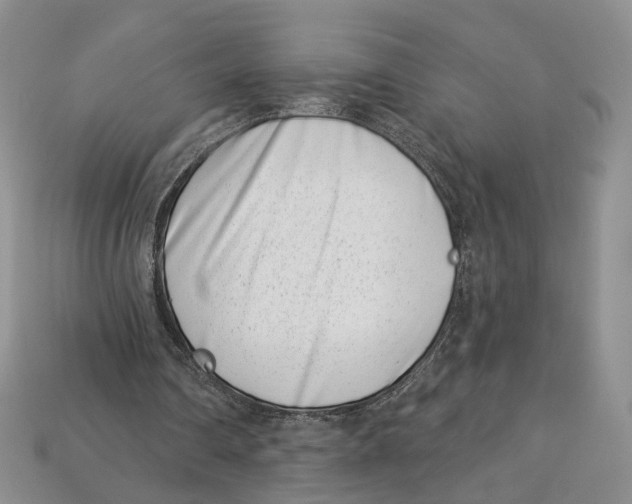 X0000113000290200909241307