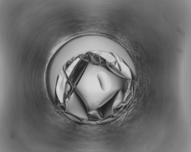 X0000113000292200909241307