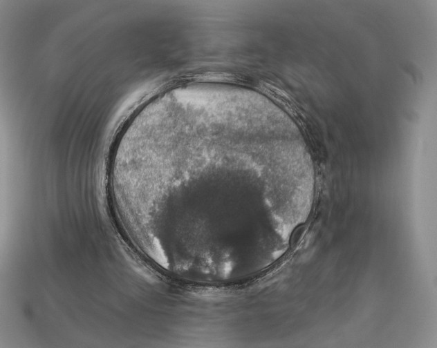 X0000113000293200909241307