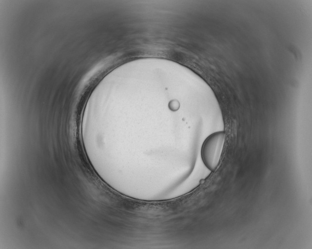 X0000113000294200909241307