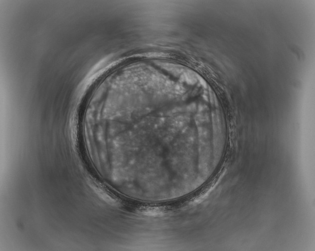 X0000113000295200909241307