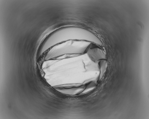 X0000113000296200909241307