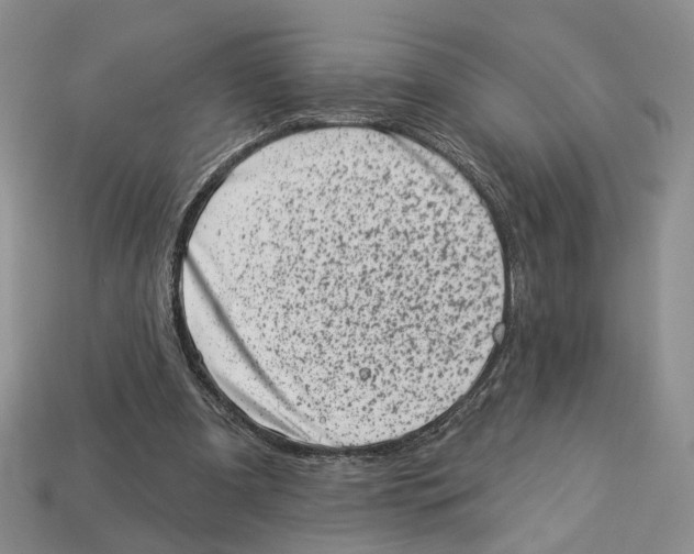 X0000113000297200909241307