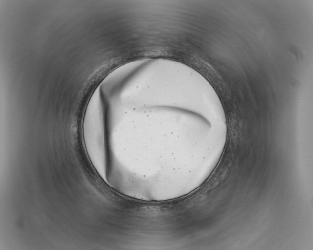 X0000113000298200909241307