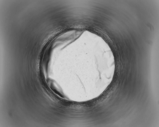 X0000113000299200909241307