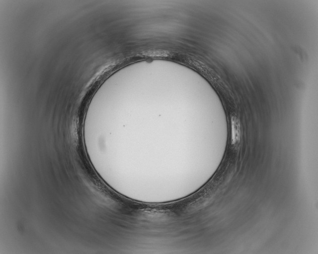 X0000113000300200909241307