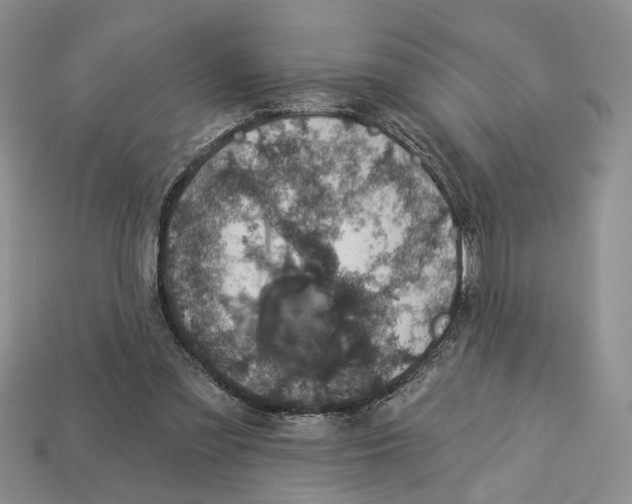 X0000113000301200909241307