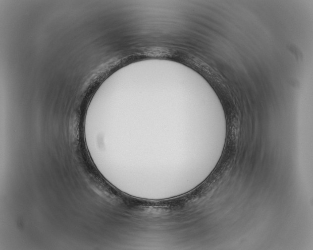 X0000113000303200909241307