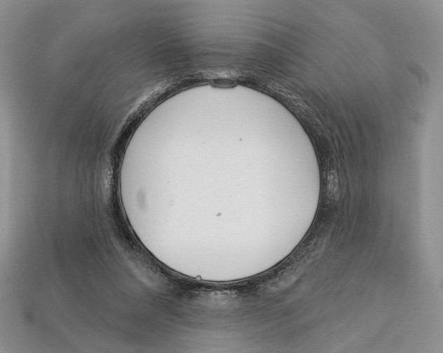 X0000113000304200909241307